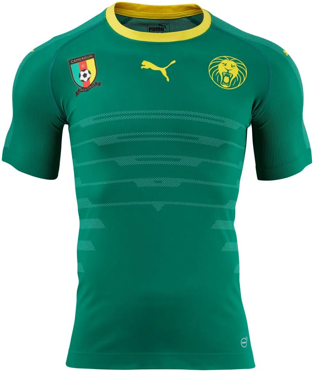 Maillot Domicile Cameroun 2016