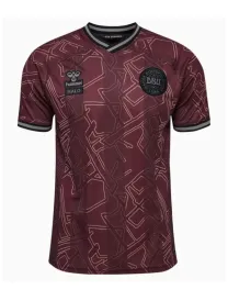 Maillot Danemark X Halo Édition Spéciale 2024
