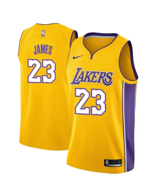 Lebron James Los Angeles Lakers - Icon