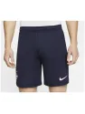 France Shorts Domicile 2020/21