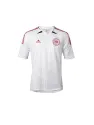 Maillot Danemark Extérieur Euro 2012