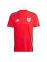 Maillot Pays De Galles Domicile 2024