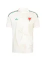 Maillot Pays De Galles Extérieur 2026
